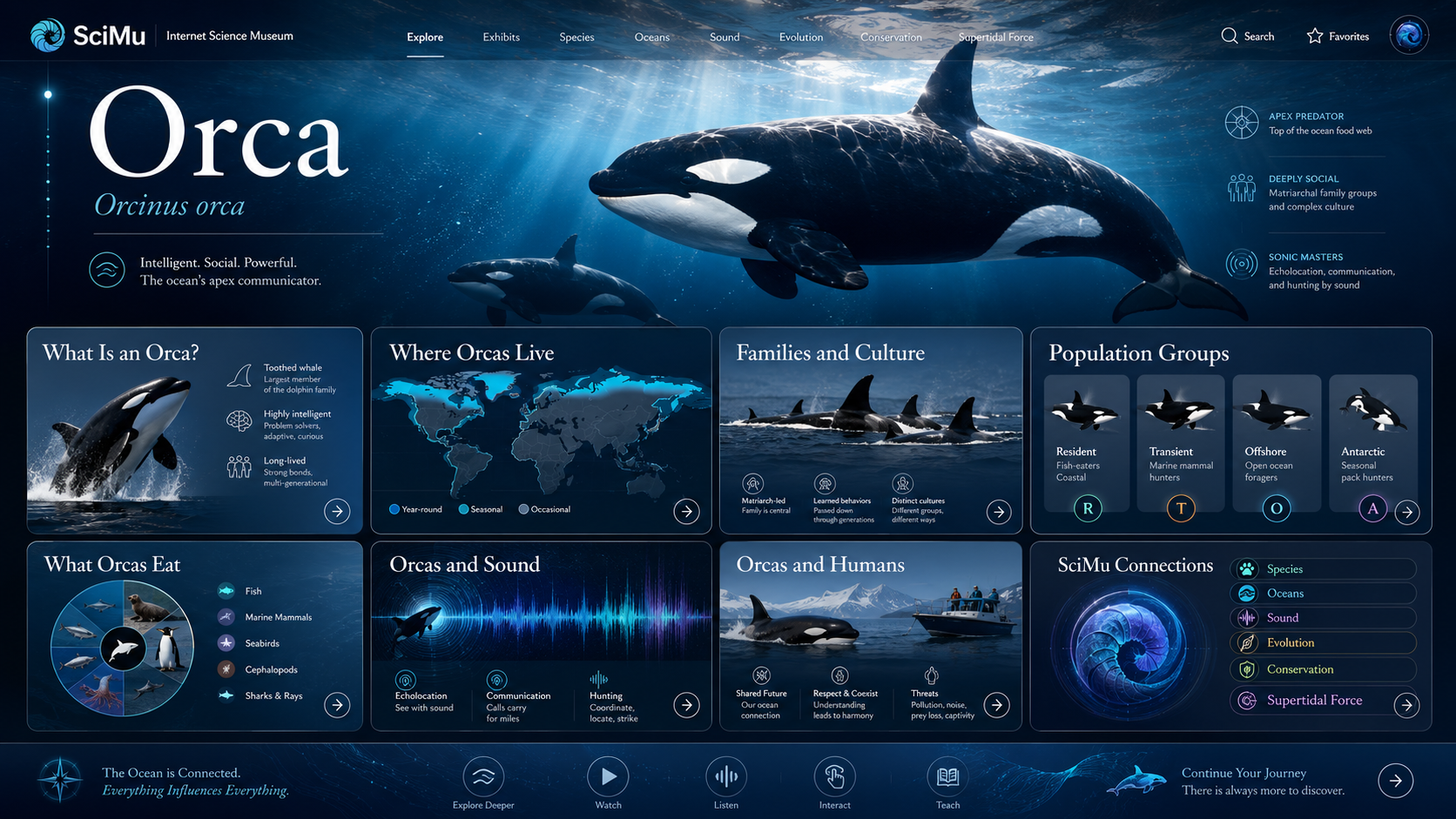 Future interface concept for the SciMu Orca page.